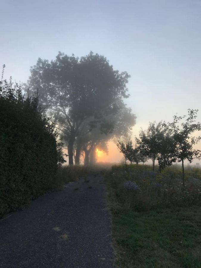 Zomerdijk-Inn Zuid Wanneperveen ภายนอก รูปภาพ